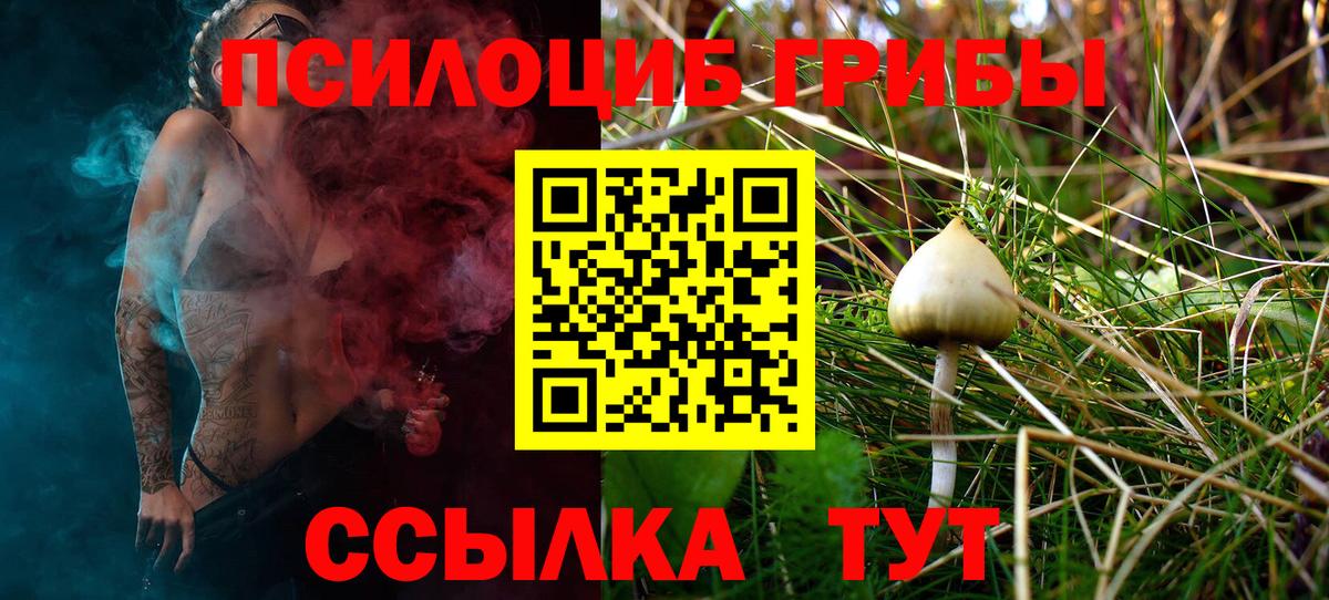 Сибай  где найти   Вход с VPN  Галлюциногенные грибы Psilocybine cubensis 